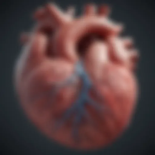 Illustration depicting heart muscle thickening