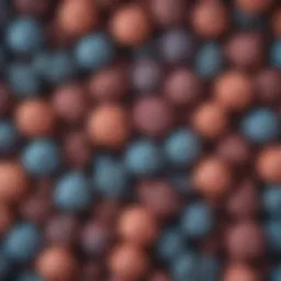 Detailed representation of HPV types 31, 33, and 35 structure