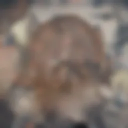 Visual representation of brain activity during heightened cognitive states