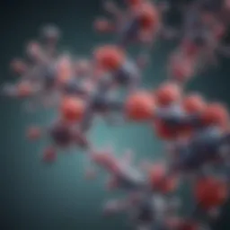 Diagram illustrating the structure of immunoglobulin G molecules