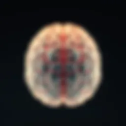 Illustration of the brain highlighting areas affected by hypoxia