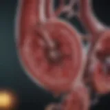 Overview of key kidney function tests