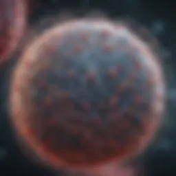Schematic representation of lysosomal dynamics