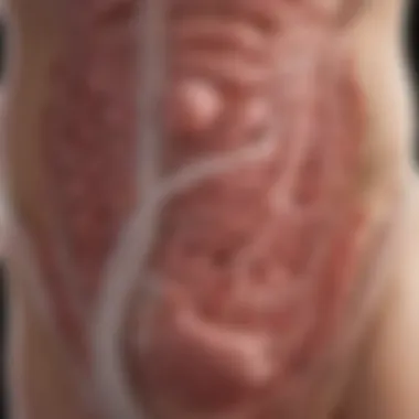 Mucus barrier in the gastrointestinal tract