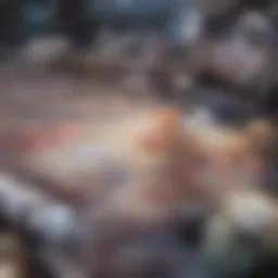 An anatomical diagram showing multiple joint inflammation