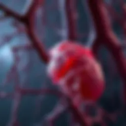 Pathophysiology of myelofibrosis