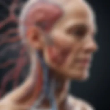 Autoimmune Diseases and the Nervous System Illustration depicting autoimmune diseases affecting the nervous system