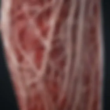 Illustration of vascular health with clear arteries