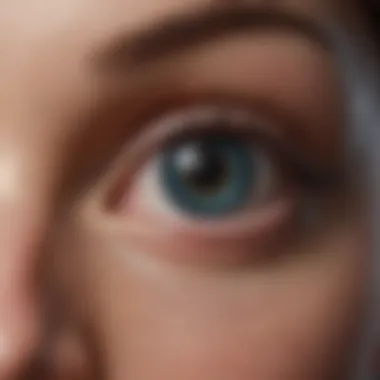 Visualization of a surgical procedure for lens implant insertion
