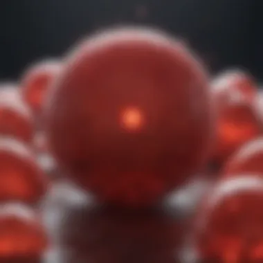 Detailed illustration of red blood cell proliferation