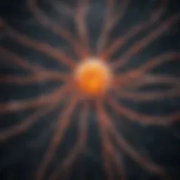 Complex network of neuroendocrine signaling