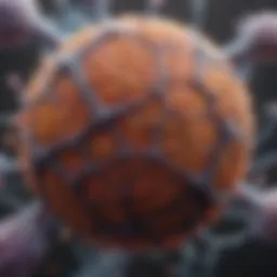 Cellular structure of prostate cancer