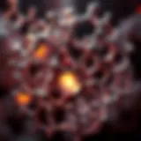 Molecular structure of proteins