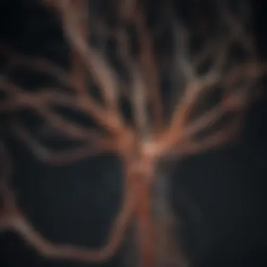 Synaptic Plasticity Dynamics Graphical representation of synaptic plasticity