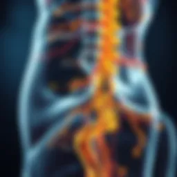 Neurological pathways affected in spastic paraplegia