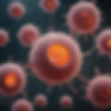 Diagram illustrating types of stem cells