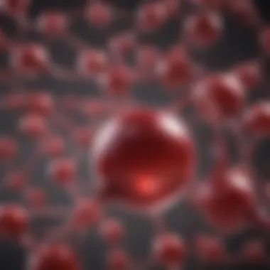 Genetic structure of hemoglobin