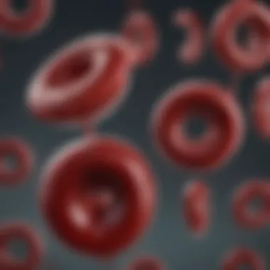 Environmental Influences on Sickle Cell Disease Diagram illustrating environmental factors influencing sickle cell disease