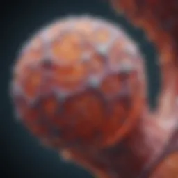 Microscopic view of prostate tissue