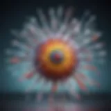 A detailed infographic illustrating the immune response triggered by vaccines