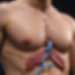 Visual representation of gastric surgery effects