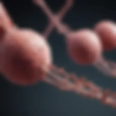 TRK Gene and Cancer Implications TRK gene implications in cancer research