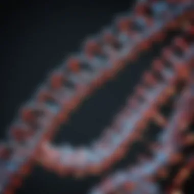 Structural Analysis of the TRK Gene Overview of TRK gene structure