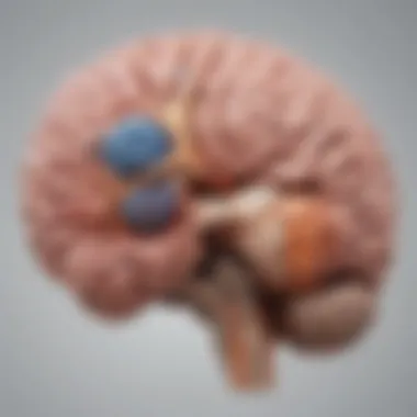 Diagram depicting various types of tumors that can form in the temporal lobe.