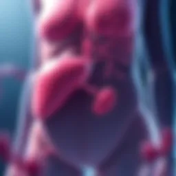 Illustration depicting hormonal changes in diabetes affecting weight regulation.