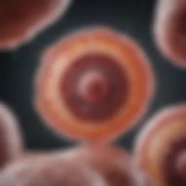 Visual guide on comprehensive treatment strategies for chlamydia