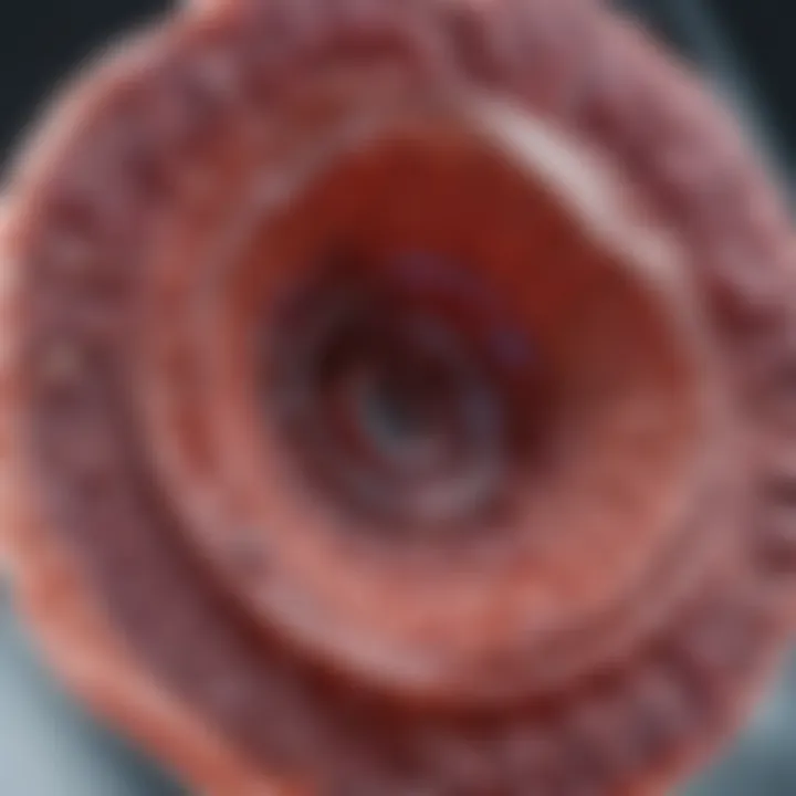 Diagram showcasing diagnostic approaches for kidney tumors
