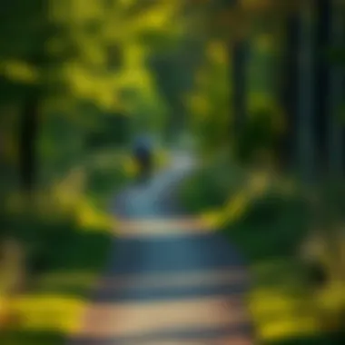 A scenic path inviting walkers