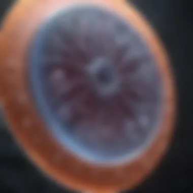 Medical Applications of Stem Cells Chart depicting the potential medical applications of stem cells