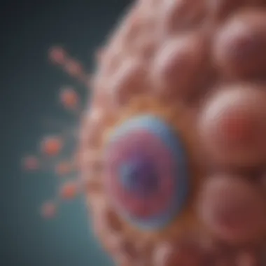 Locations of Stem Cells in the Body Illustration of stem cell locations within various organs