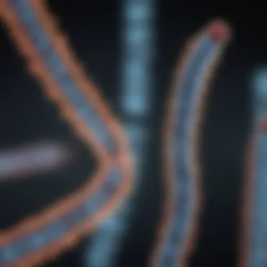 Chromosome Analysis Overview A detailed view of chromosomes under a microscope