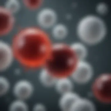 Interaction of White Blood Cells with Sickle Cells White blood cells interacting with sickled erythrocytes