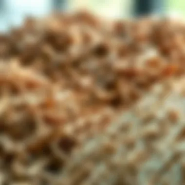 Various types of biomass materials used in pellet production